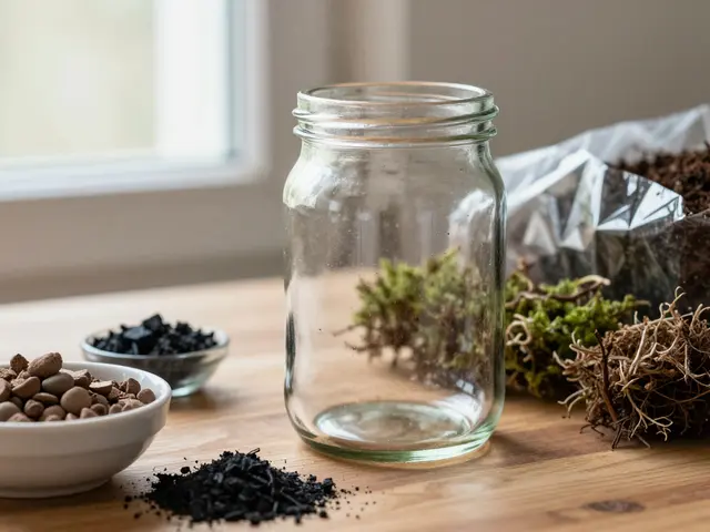 Comment créer un terrarium d'intérieur : guide pas à pas pour un mini écosystème