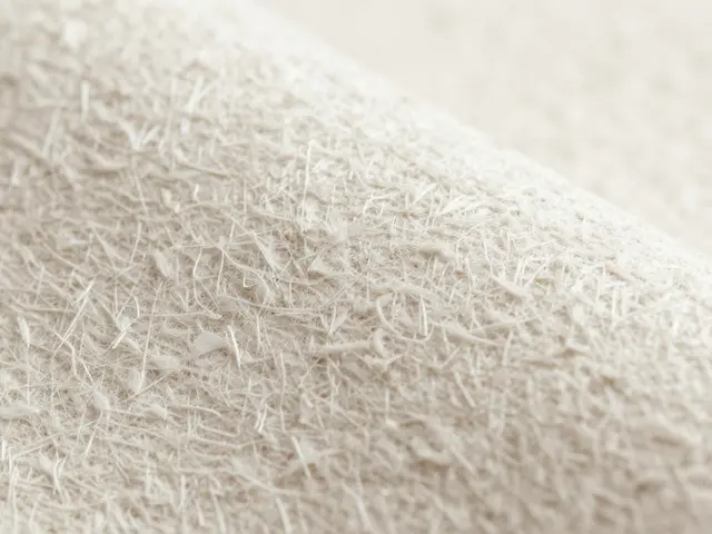 Papier peint intissé : pourquoi choisir ce revêtement mural haut de gamme ?